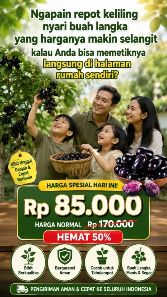 Fitur 6 Bibit Buah Jamblang
