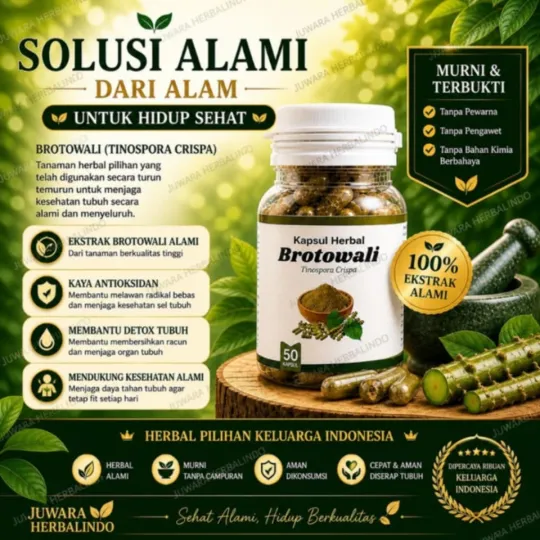 Foto solusi Kapsul Brotowali Jamu Herbal Praktis Tanpa Pahit