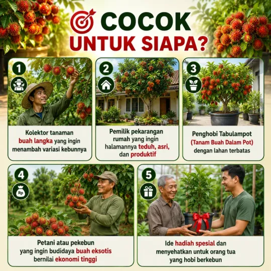 Garansi Pengiriman Amankan Bibit Segar